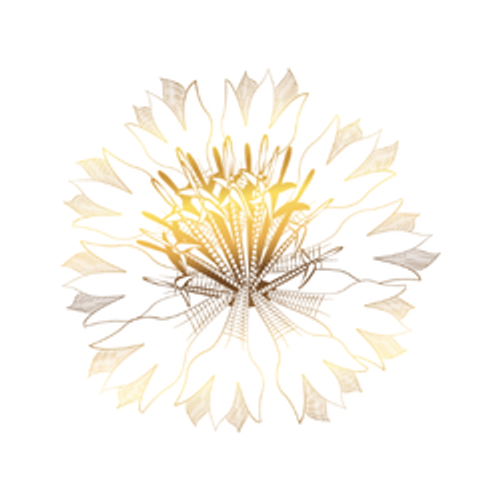 POP Cornflower Petals
